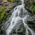 Wasserfälle Todtnau (Schwarzwald)