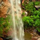 Wasserfälle unterhalb der Emerald Pools - Zion N.P. - Utah - USA