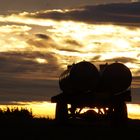 Wasserfässer im morgenlicht