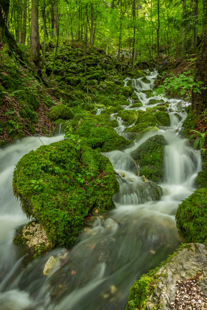 Wasserfall