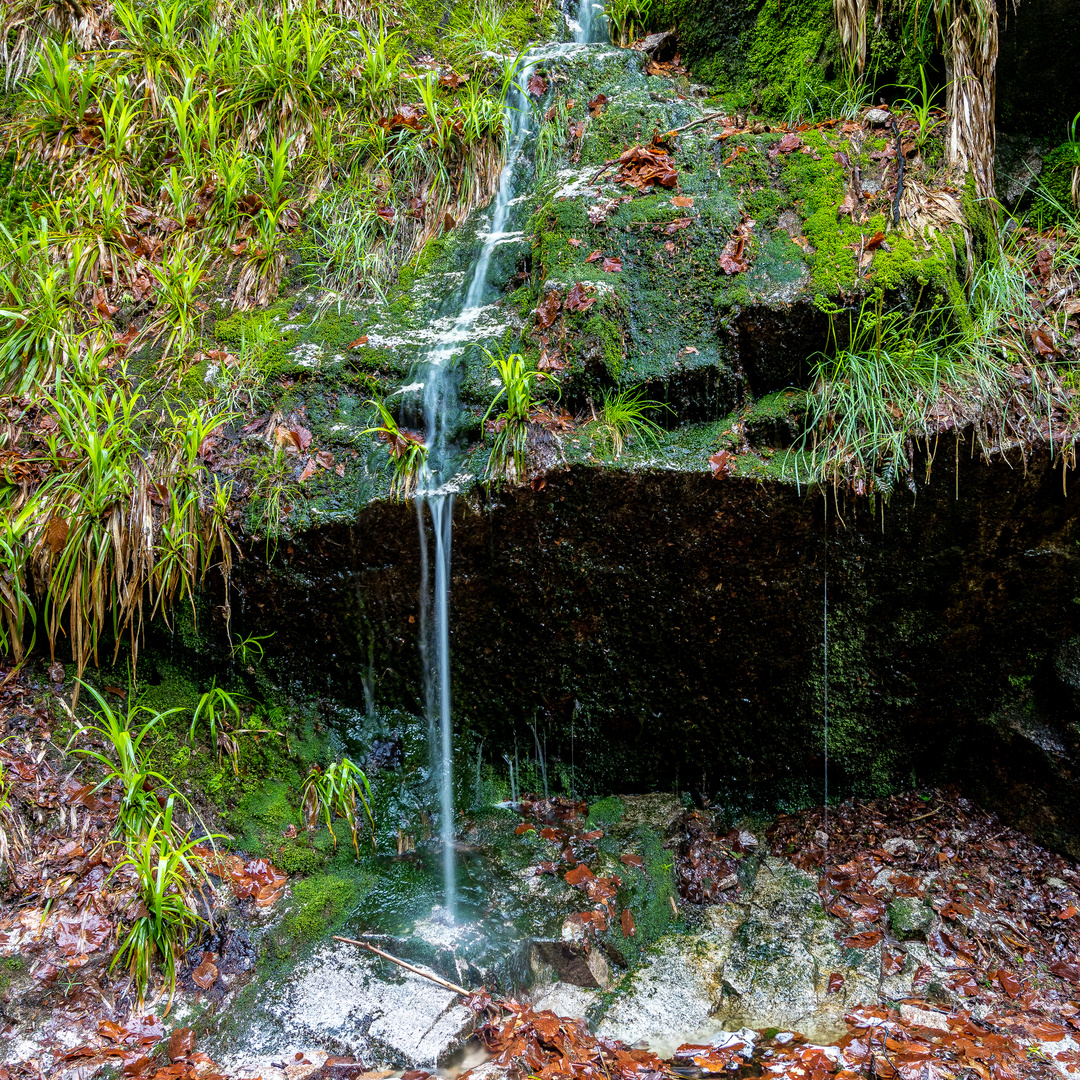 Wasserfall-20190509-29055