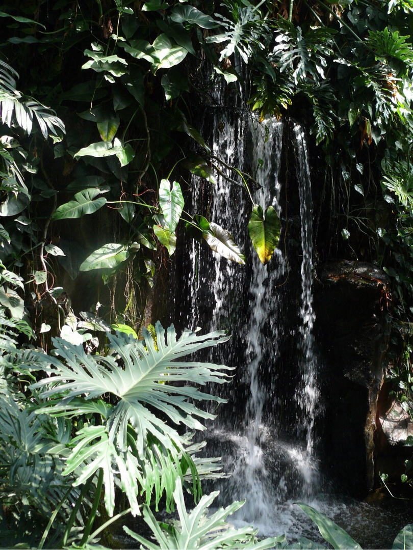 Wasserfall