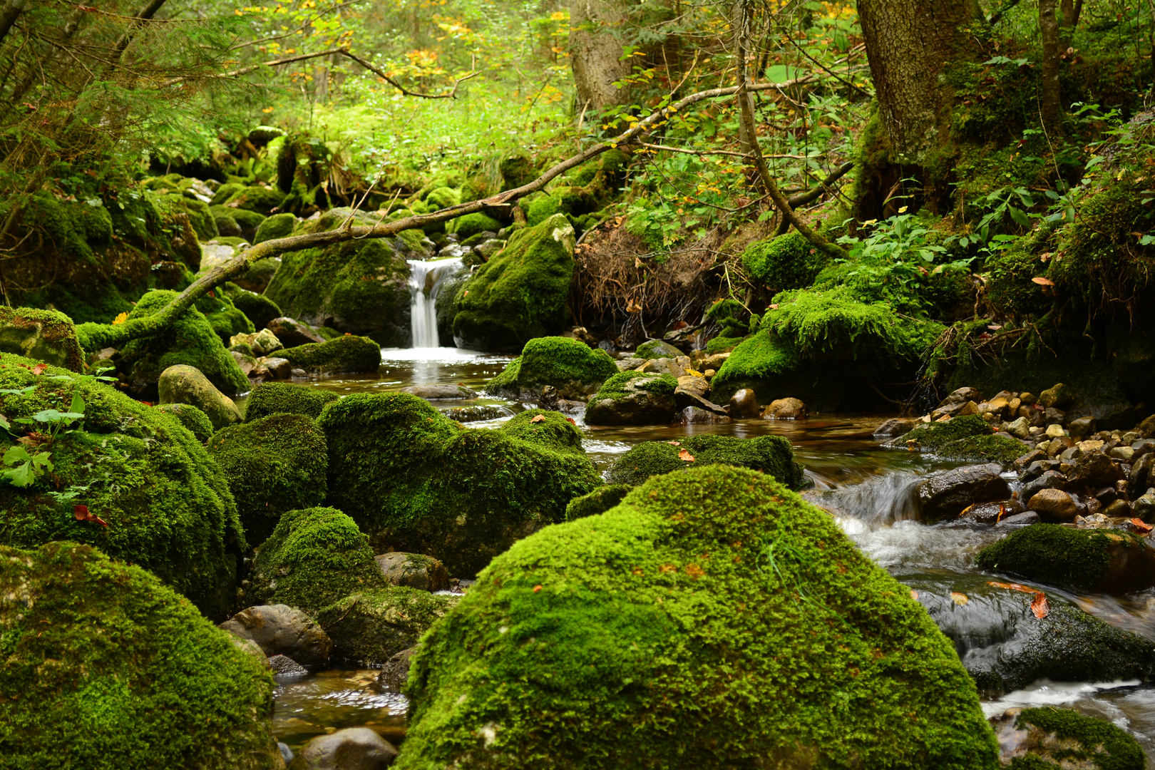 Wasserfall