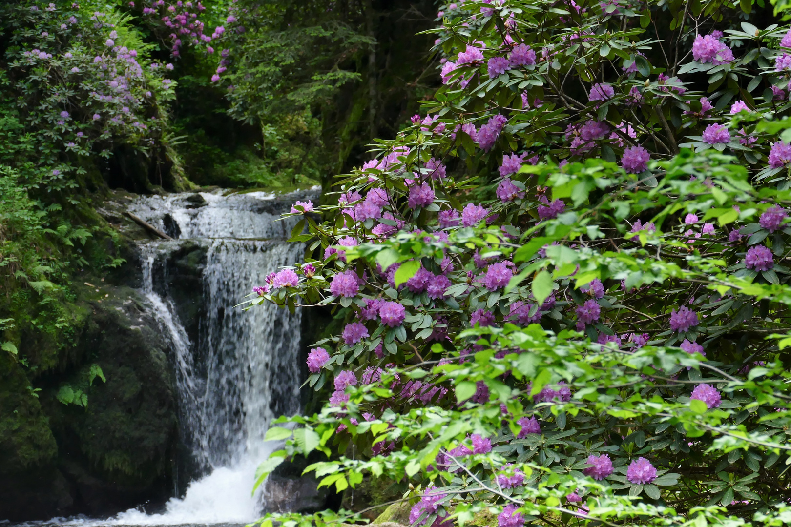 Wasserfall