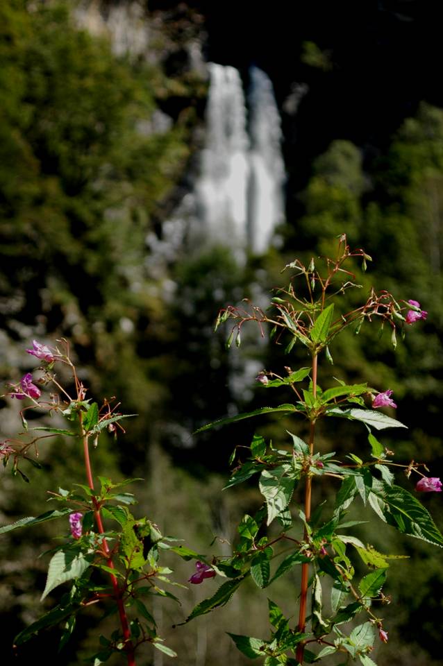 wasserfall