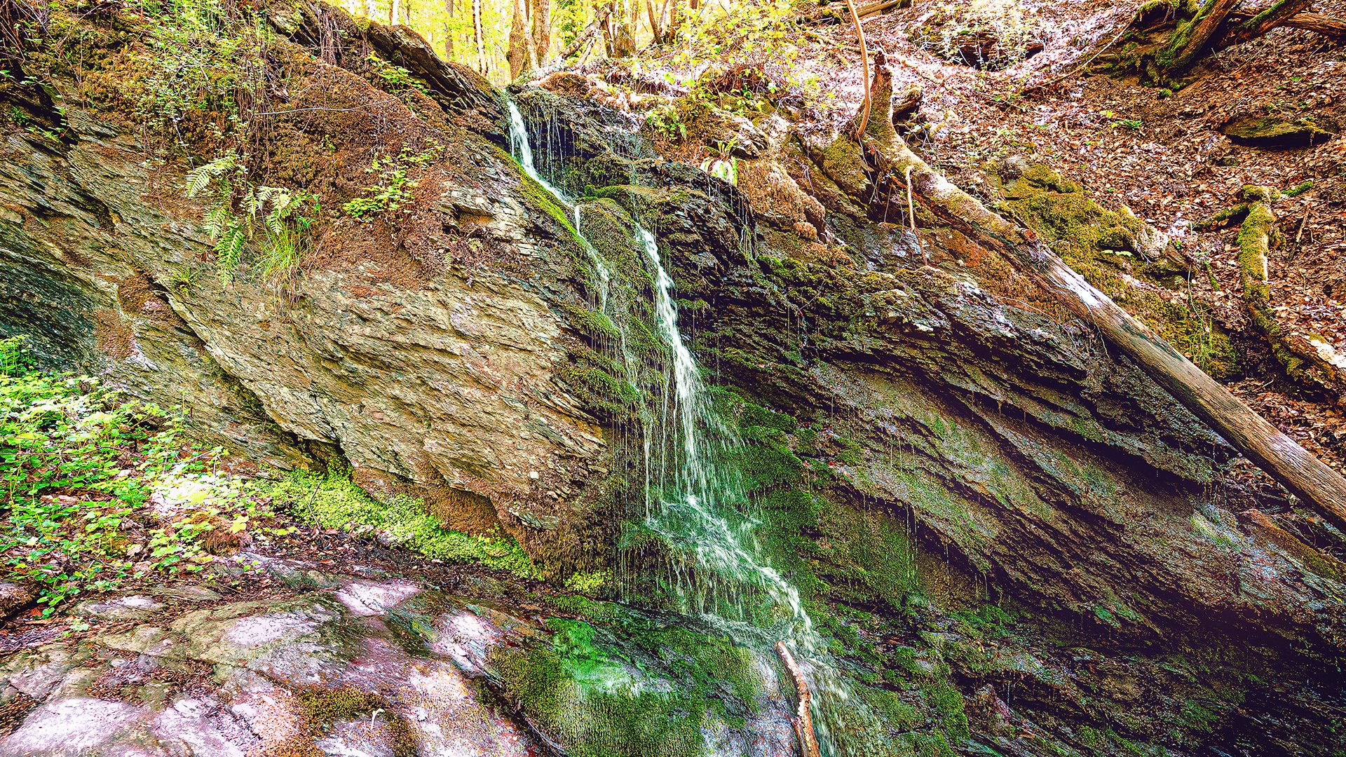 Wasserfall am Felsen in der Ehrbachklamm