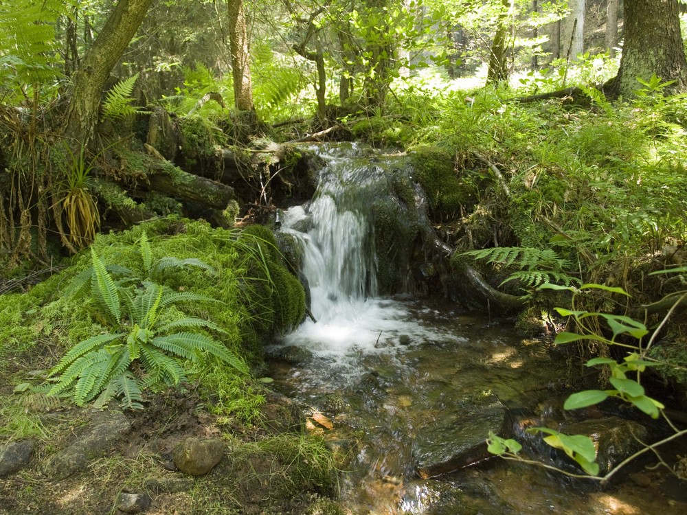 Wasserfall am Felsenweg