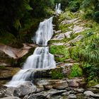 Wasserfall am Haast-Pass