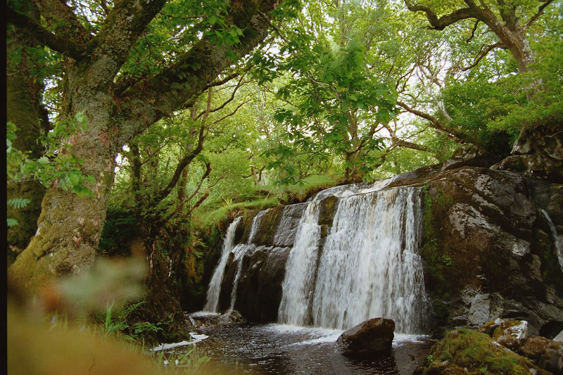 Wasserfall am Loch Awe (2000)