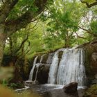 Wasserfall am Loch Awe (2000)