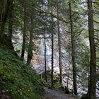 Wasserfall am Schwarzsee im Kanton Fribourg CH