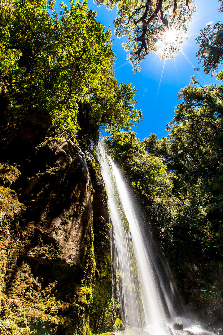 Wasserfall am Waikaremoana See in Neuseeland