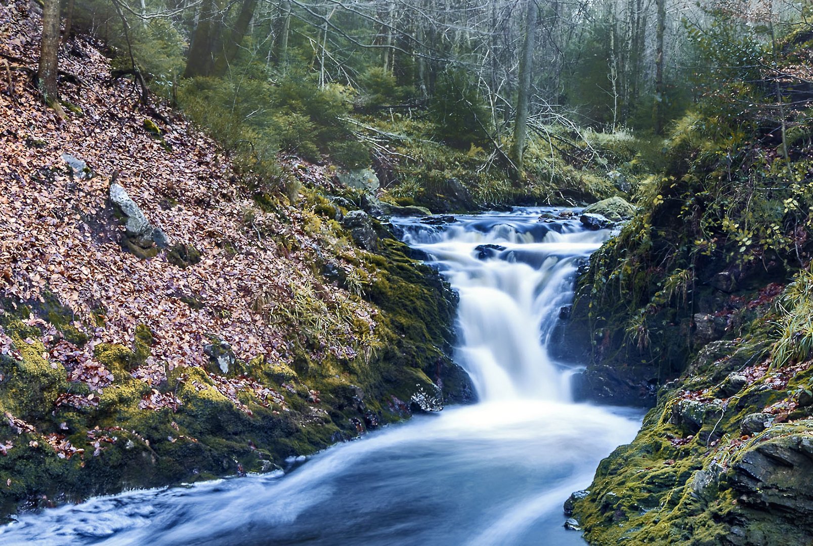 Wasserfall an der Hoegne