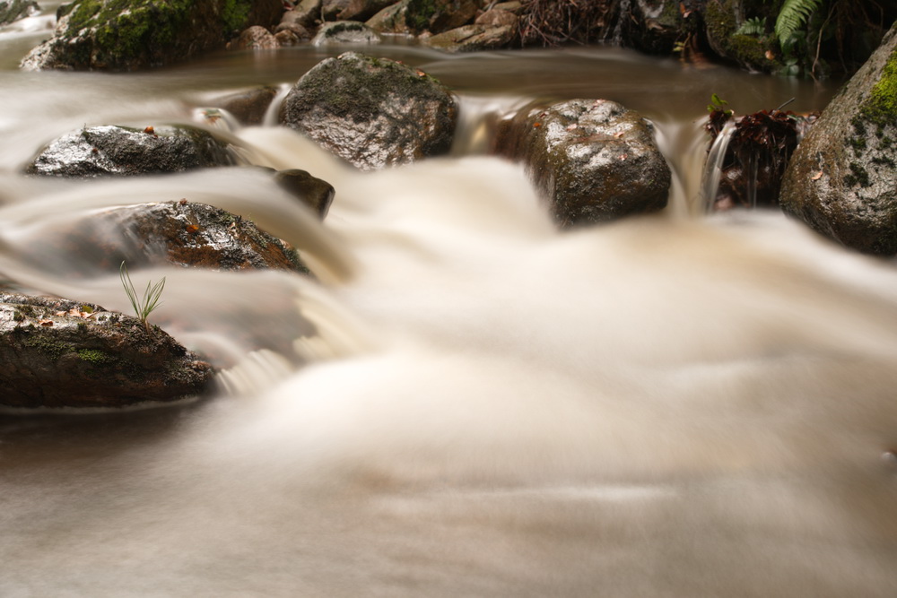 Wasserfall an der Ilse, Harz