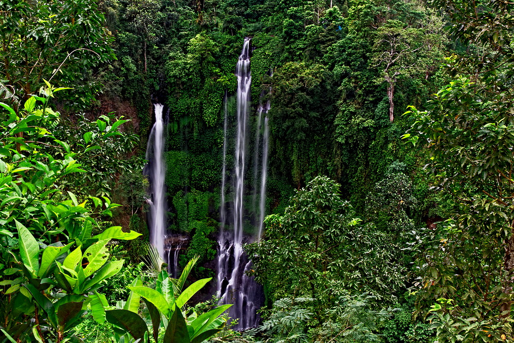 Wasserfall auf Bali