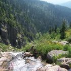 Wasserfall auf dem Berg