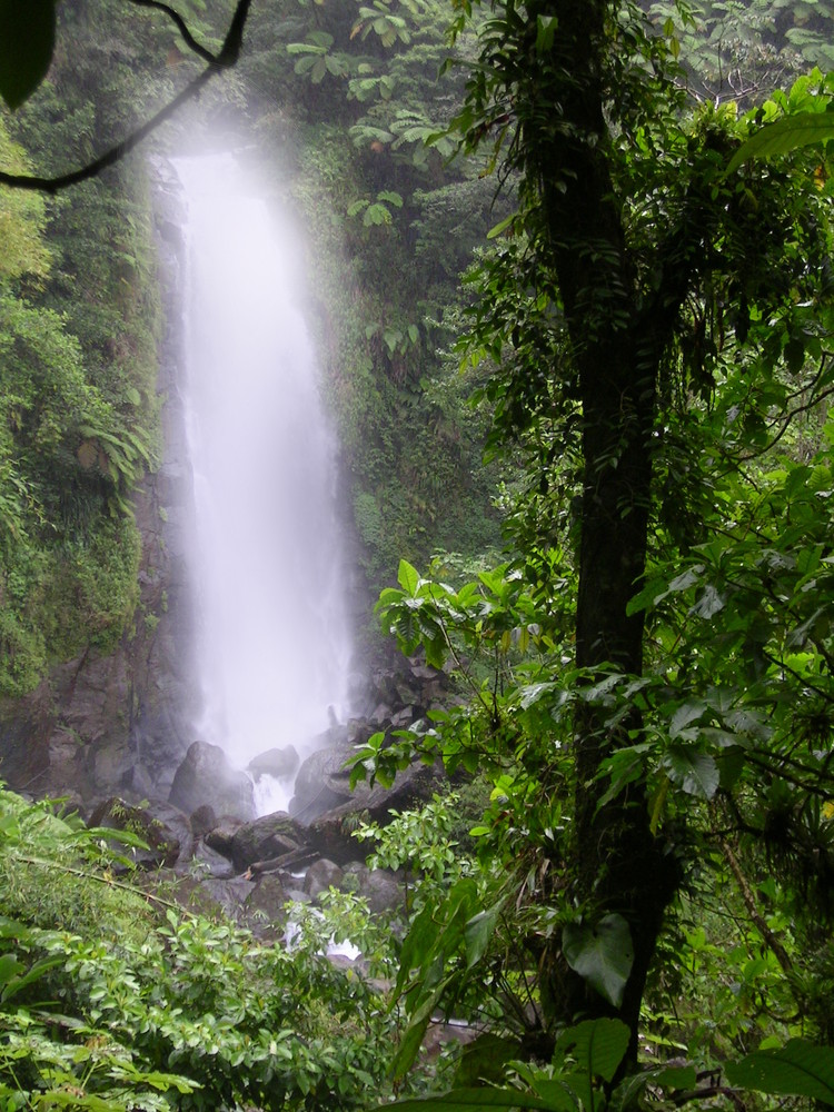 Wasserfall auf Domenica