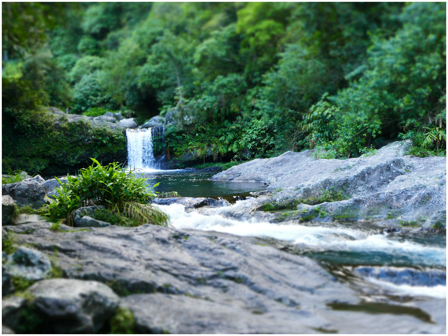 Wasserfall auf La Réunion