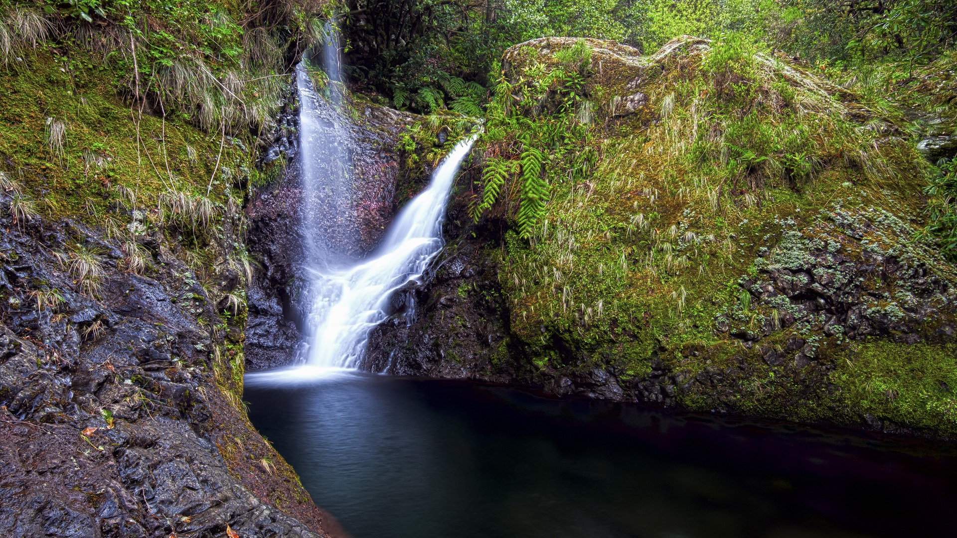 Wasserfall auf Madeira