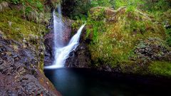 Wasserfall auf Madeira