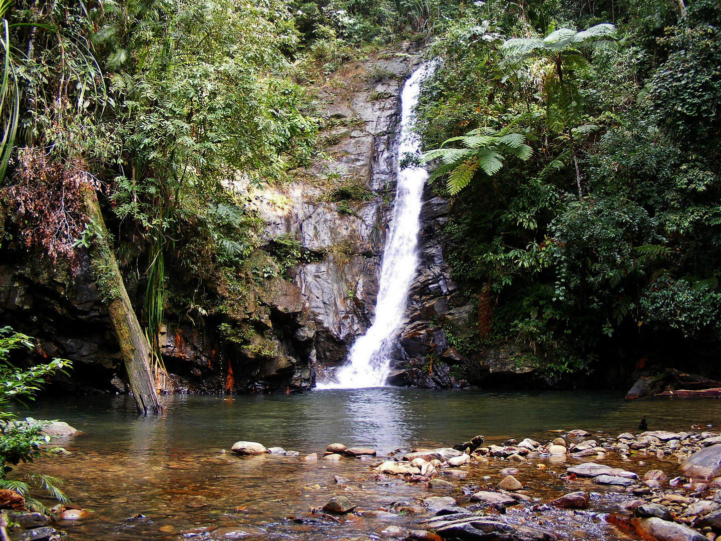Wasserfall auf Palawan (Philippinen)