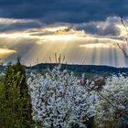 Wasserfall aus Licht