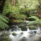 Wasserfall Australien Farbe 