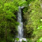 Wasserfall Bad Urach 