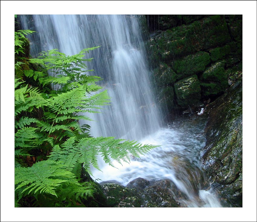 Wasserfall von Bernd Basedow