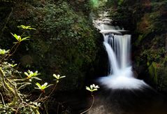 Wasserfall bei Geroldsau