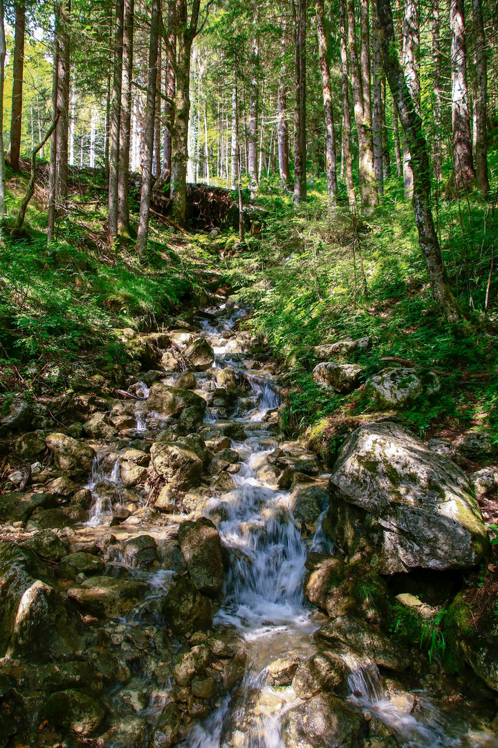 Wasserfall bei Hinterstein den Berg hinauf