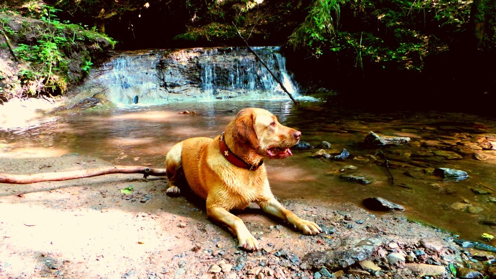 wasserfall bei murrhardt