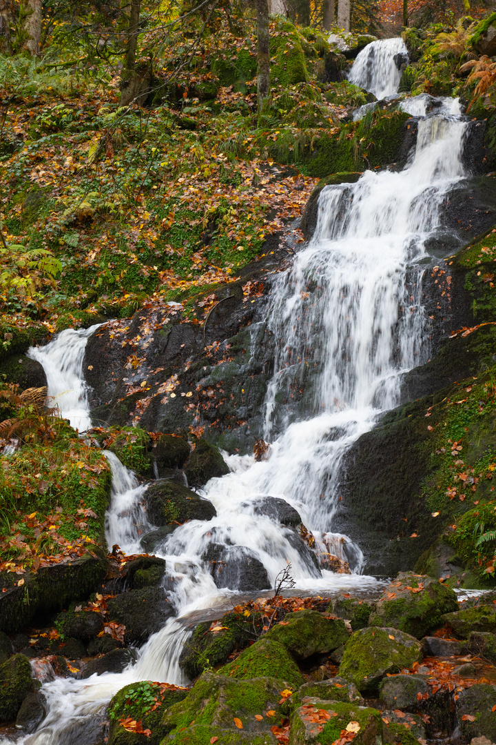 Wasserfall bei Natzwiller im Elsass