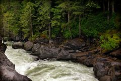 Wasserfall bei Pemberton 02