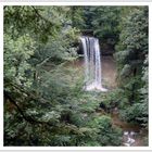 Wasserfall bei Scheidegg