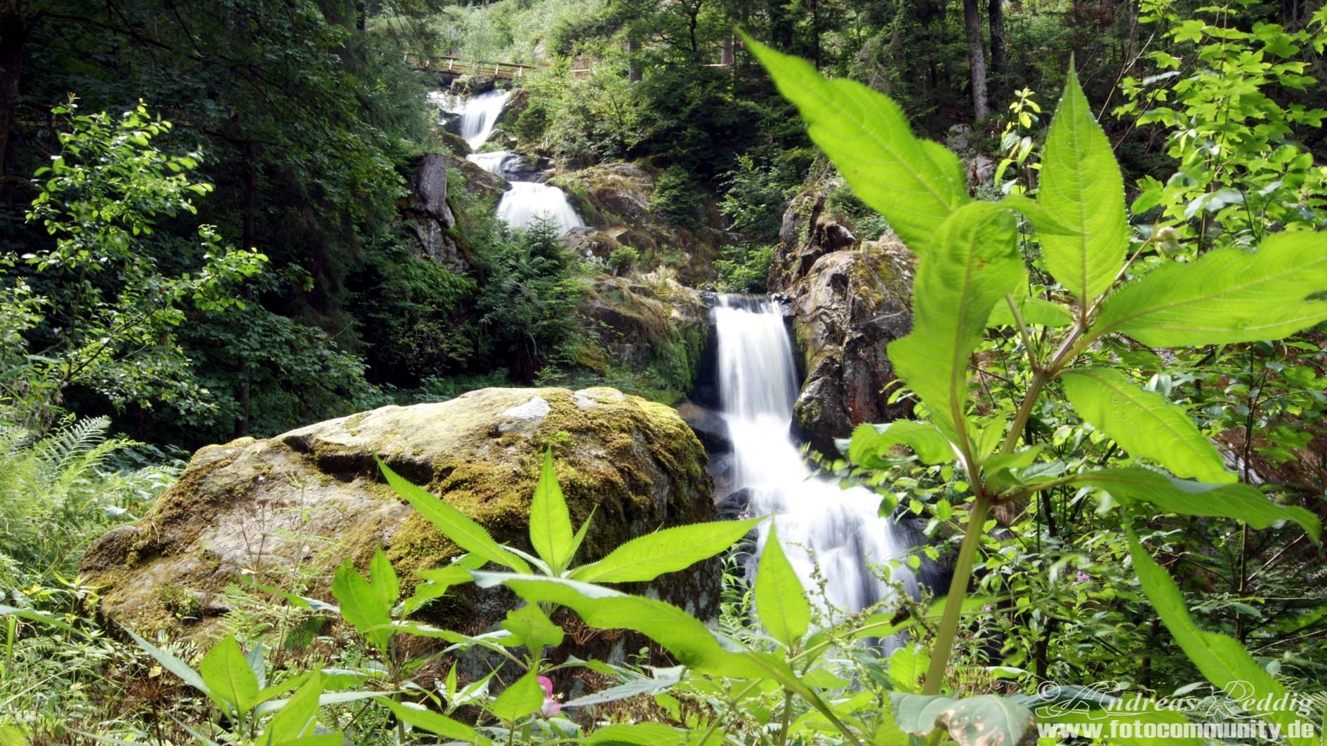 Wasserfall bei Triberg/Schwarzwald - 07.08.2013