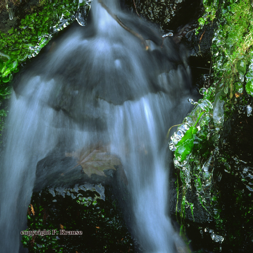 Wasserfall, Blatt und Eis