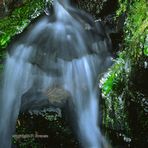 Wasserfall, Blatt und Eis