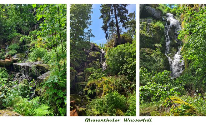 Wasserfall Blauenthal