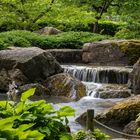 Wasserfall Blick