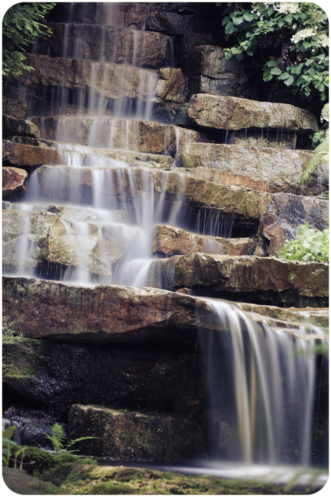 Wasserfall Botanischer Garten Braunschweig Foto & Bild