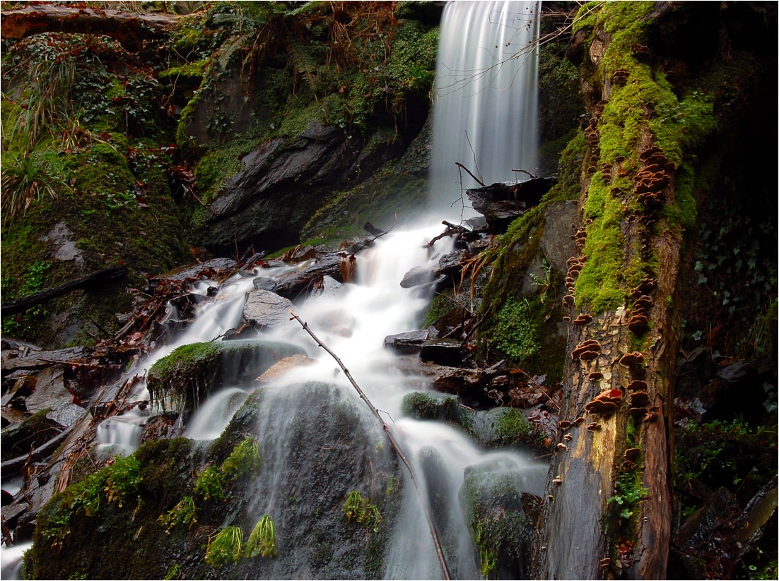 Wasserfall