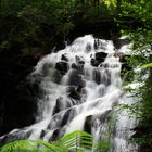 Wasserfall