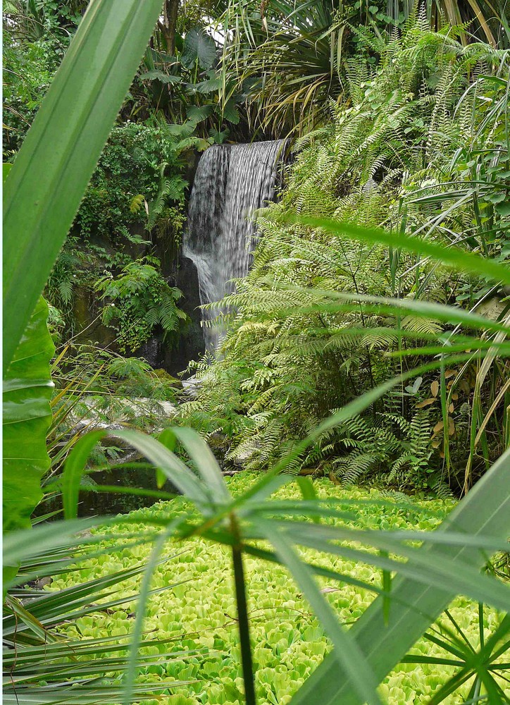 Wasserfall