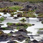 Wasserfall der Götter / Godafoss - Flussbett / Island