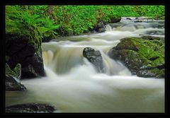 Wasserfall der Kleinen Kyll