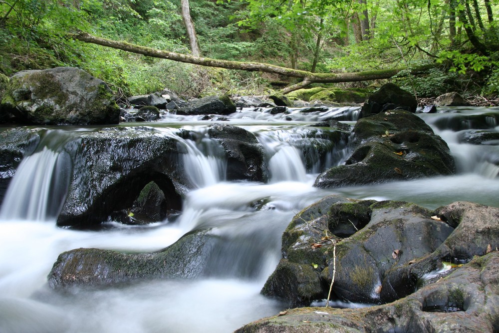 "Wasserfall" der Kleinen Kyll