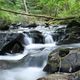 "Wasserfall" der Kleinen Kyll