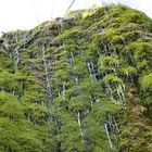 Wasserfall Dreimühlen