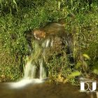 Wasserfall Dreimühlen